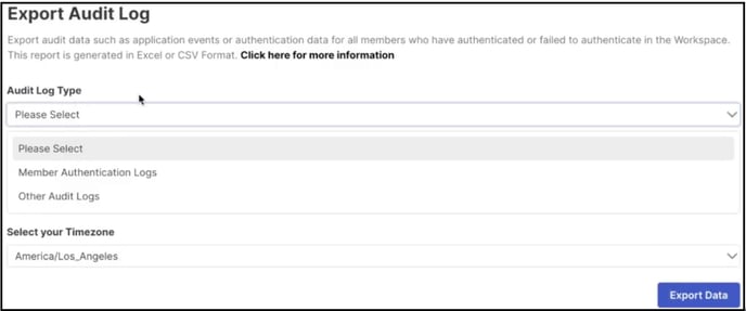 Export audit log copy