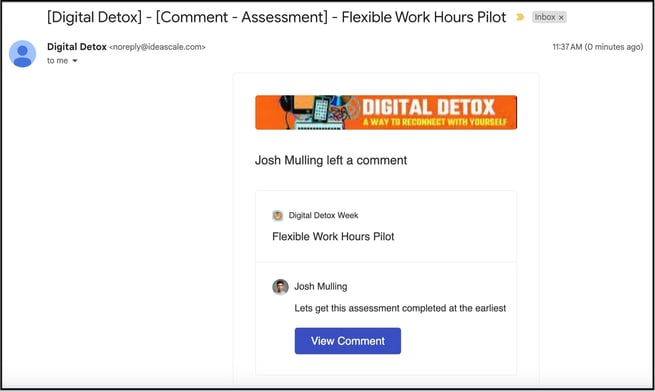 assess comment email copy
