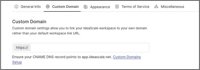custom domain copy