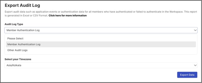 export audit log copy