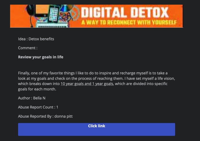 flagged email copy