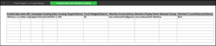fund excel 2 copy